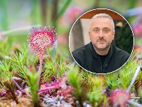 Travar modernog doba: Momčilo Antonijević čovek koji poznaje prirodu