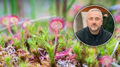 Travar modernog doba: Momčilo Antonijević čovek koji poznaje prirodu