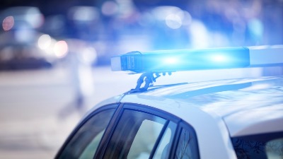 HOROR u Košutnjaku: Prolaznik pronašao ljudski skelet
