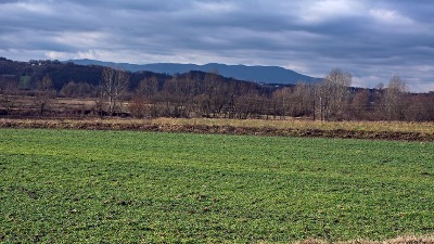 Tim naučnika: Ležište litijuma u zapadnoj Srbiji nije vredno eksploatacije zbog ekoloških rizika