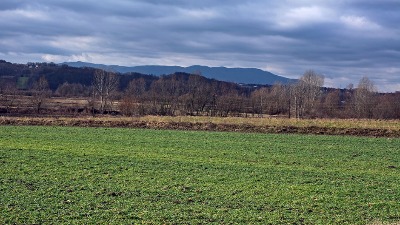 Čini čuda u bašti, a svi ga koriste samo za HLEB - pospite ga po zemlji 