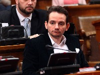 Krkobabić: PUPS na lokalnim izborima sa SNS u širokom frontu koji predvodi Vučić