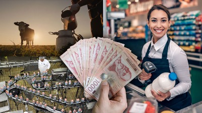 Dokle je Srbija stigla NA PUTU ka EU tržištu?