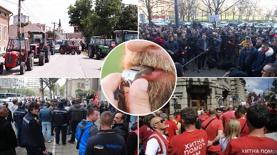 Ima li Srbija HRABROSTI za generalni štrajk?