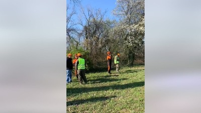 Seku drveće na Šodrošu, kamperi zvali policiju (VIDEO)