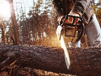 Muškarac umro prilikom seče drva: Jedno ga udarilo u glavu i na mestu UBILO