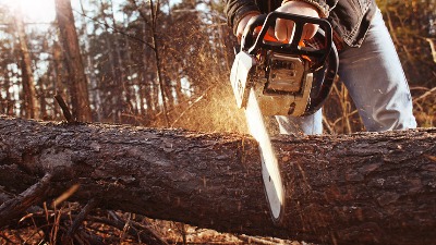 Muškarac umro prilikom seče drva: Jedno ga udarilo u glavu i na mestu UBILO