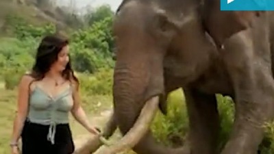 Evo zašto ne treba zadirkivati slona (VIDEO)