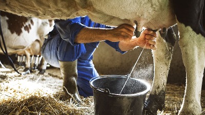 Uvoz mleka za 4.000 TONA veći od izvoza u prva tri meseca