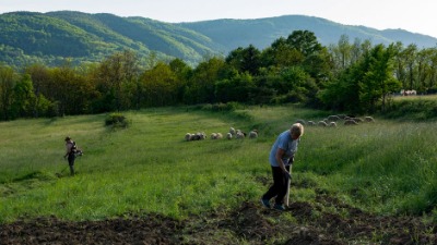 Okopavao njivu, pa pronašao misteriozan predmet (FOTO)