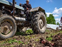 "OVO JE LUDOST" Maltretiranje zemljoradnika: Ukidanje subvencija na POLITIČKOJ OSNOVI