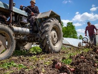 KRIZA PRETI i srpskoj setvi: Skuplje đubrivo, manji prinosi i NOVI RAST CENA HRANE!