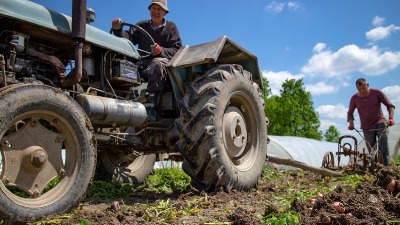 KRIZA PRETI i srpskoj setvi: Skuplje đubrivo, manji prinosi i NOVI RAST CENA HRANE!