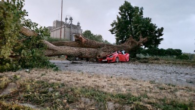 Drvo puklo na pola, obrušilo se na parkirane automobile (FOTO)