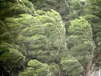 RHMZ upozorava: Udari vetra do 100 kilometara na čas