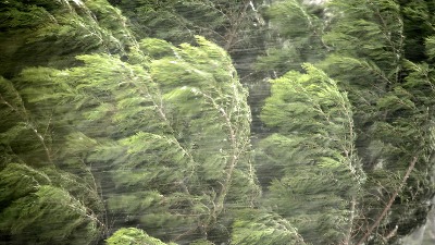 Košava od 100 km/h razara Srbiju: Evo kada prestaje olujni vetar