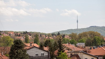 Dimić (SSP): U opštinskom veću Rakovice sede serverka u kuhinji, radnica u kockarnici, vozač u policiji, radnik u garaži, prodavac bele tehnike...