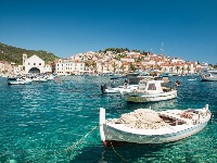 U Jadranu snimljena otrovna riba! "Gde je ona, tu trava ne raste" (FOTO)