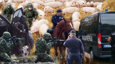 Vojskom i policijom na svinje zaražene kugom