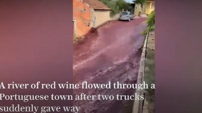 Obojili grad: Reka crvenog vina teče niz ulicu (VIDEO)