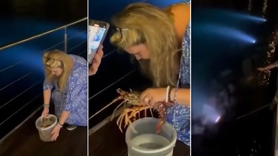 Naručila jastoga od 200 evra, pa ga vratila u more (VIDEO)