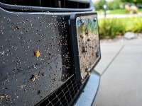 Kako oprati auto od zalepljenih insekata?