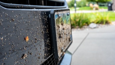 Kako oprati auto od zalepljenih insekata?