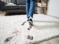 Domaće sredstvo za čišćenje tepiha koje RADI: Recept za sve MRLJE 