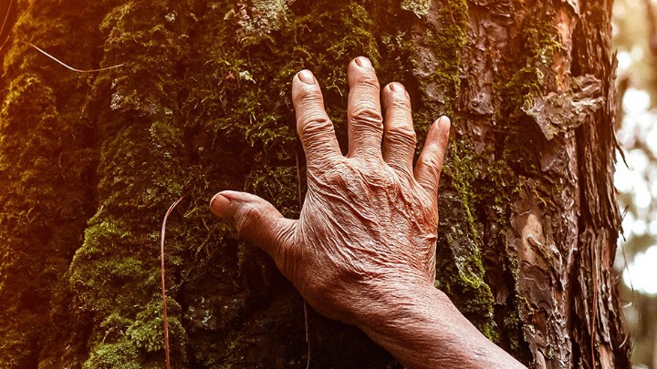 Najpopularnija baka na internetu! Ne zna koliko ima godina, a potiče sa sela (FOTO) 