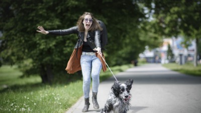 Držite ljubimca ovde? Preti vam kazna od 20.000