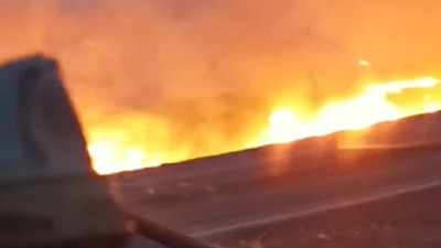 Buknuo požar pored auto-puta kod Subotice (VIDEO)