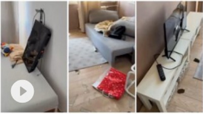 Iznajmili stan na 4 dana - demolirali ga i pobegli (VIDEO)
