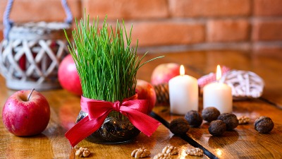 Božićna pšenica za plodnu 2026: Posadite je na vreme i uživajte u OBILJU i SREĆI u Novoj godini 