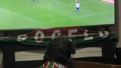 Ovaj pas je legenda: Pada u trans kad njegov tim postigne gol (VIDEO)