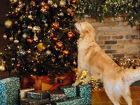 Jedna stvar koju dodate na jelku pretvara je u praznični SPEKTAKL