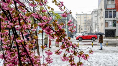 Otkriveno kad stiže sneg: Ovi delovi prvi na udaru