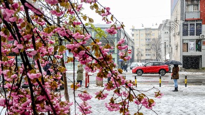 RHMZ prognoza za decembar: Hoće li biti snega?