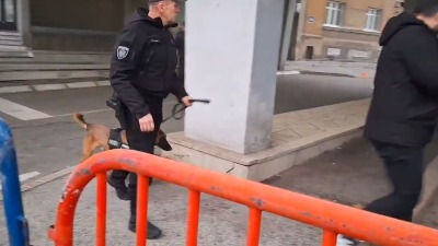 Policija od ranog jutra ispred Skupštine NS: Postavljena zaštitna ograda, dovedeni i psi (VIDEO)