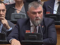 Monarhisti: Ako je državi važnija kupovina slika od jačanja vojske, onda...