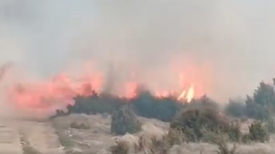 Požar kod Prijepolja: Vatra zahvatila 10 hektara šume (VIDEO)
