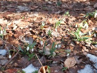 TEMPERATURNI OBRT Evo kad stižu prolećne temperature