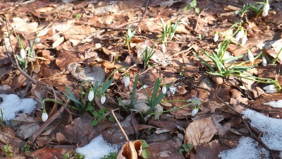 TEMPERATURNI OBRT Evo kad stižu prolećne temperature