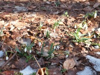 Da li je zima zvanično gotova: Evo šta nas čeka u martu!