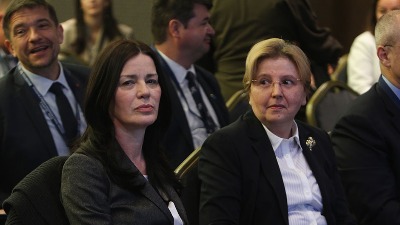 Posle Dolovac, razrešena i Vasović