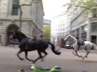 Vojni konji jurili centrom Londona i povredili ljude (VIDEO)
