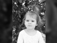 Novi detalj u slučaju Danke Ilić: Veštaci dostavili nalaz tužilaštvu