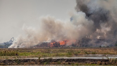 Drama: Buknuo veliki požar u Ribarskoj banji (FOTO)