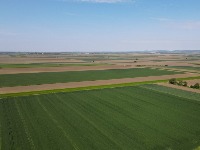 SRCE: Srbija godišnje gubi 25.000 hektara poljoprivrednog zeljišta