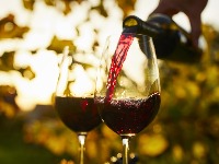 Proizvodnja vina naglo opala i vinograda je sve manje