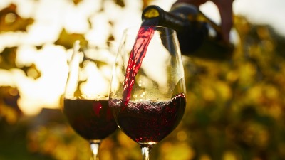 Proizvodnja vina naglo opala i vinograda je sve manje